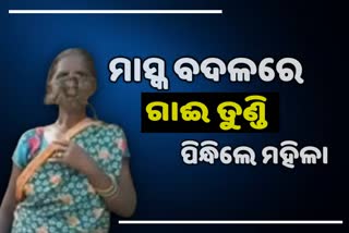 ମାସ୍କ ବ୍ୟବହାର ସଚେତନତା ଅଭାବ, ମୁହଁରେ ଗାଈର ତୁଣ୍ଡି ବାନ୍ଧିଲେ ମହିଳା