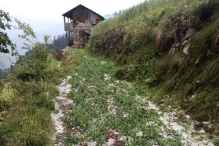 Heavy rains and hailstorms in kullu, कुल्लू में भारी बारिश और ओलावृष्टि