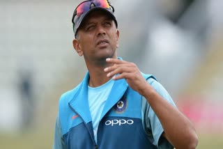 dravid learnt how Australian structure of making players pool and made it happen for india says greg chappell