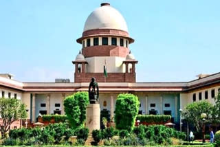 supreme court