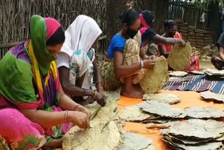 people-of-tribal-community-are-forced-to-live-by-selling-plates-made-of-leaf-in-pakur