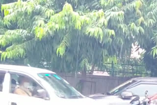 rain-in-west-delhi