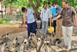 Officers Feeding Monkeys