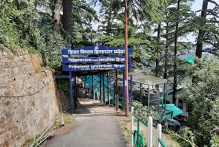 shimla