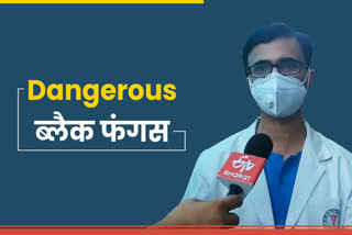 'ब्लैक फंगस' का खतरा , डायबिटीज मरीजों के लिए खतरनाक,  म्यूकर माइकोसिस फंगल इंफेक्शन, dangerous for Diabetes patients, Problems for corona patients, More than 50 cases in Jaipur