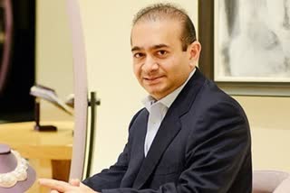 Nirav Modi