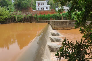 rain story Kozhikode nadapuram  nadapuram vishnumangalam bund  vishnumangalam bund overflowing  kozhikode flood news  വിഷ്‌ണുമംഗലം ബണ്ട് കരകവിഞ്ഞൊഴുകി  കുടുംബങ്ങള്‍ വെള്ളപ്പൊക്ക ഭീഷണിയില്‍  കോഴിക്കോട് നാദാപുരം വിഷ്‌ണുമംഗലം ബണ്ട്