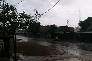 Rains in rajasthan, News of dholpur