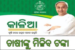 ଶୁକ୍ରବାର ଚାଷୀଙ୍କ ଅକାଉଣ୍ଟକୁ ଯିବ କାଳିଆ ଟଙ୍କା