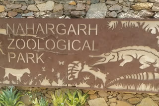 Nahargarh Biological Park, जयपुर न्यूज़