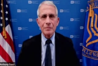 White House chief medical adviser Dr Anthony Fauci