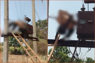 farmer on a transformer in Dungarpur dies due to electrocution