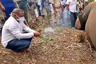 parimal suklabaidya at kandali hills