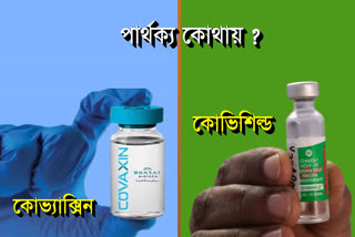 covaccine vs covishield which covid vaccine is better