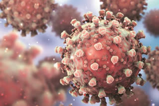 India supports call for detailed studies on origins of coronavirus