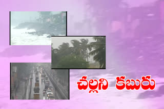 rains falling in upcoming three days in andhrapradhesh