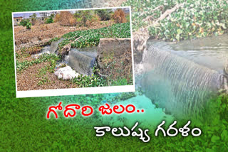 godavari water, godavari water pollution