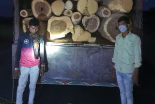 डूंगरपुर में गीली लकड़ियों से भरा ट्रक जब्त, Truck full of wet wood seized in Dungarpur