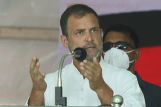 Rahul takes potshot at Modi over dead bodies in Ganga