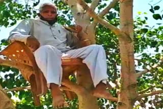 68-yr old man encamps on peepal tree for oxygen in Indore