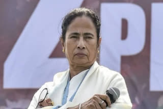 mamata