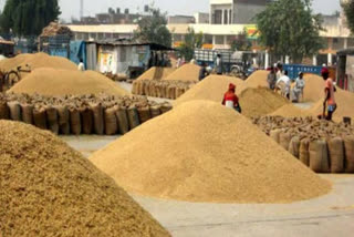 Sirsa farmers sell wheat crop