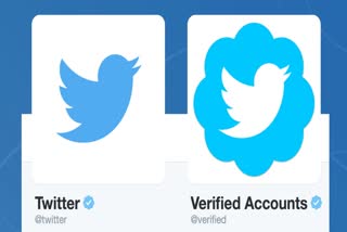 Twitter, verification programme