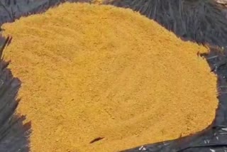 seraikela turmeric will be delivered in all over India