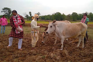 akshay-tritiya celebrated in balangiri