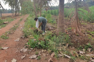 ಎ.ಎಸ್.ಪಾಟೀಲ ನಡಹಳ್ಳಿ