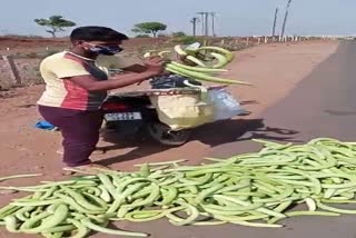 Farmer throws one quintal cucumber on the road