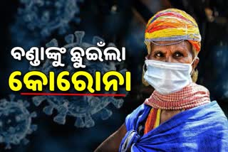 covid19 virus reach in Bonda tribe in Malkangiri