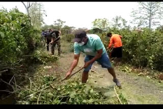 commendable-job-by-manas-bhagawati-by-planting-trees