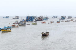 fishing boats landed on arnala beach palghar