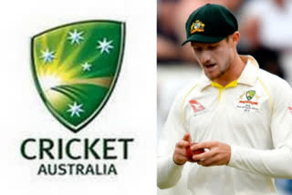 cricket australia, bancroft