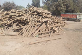 Economic crisis on Yamuna Nagar plywood industry