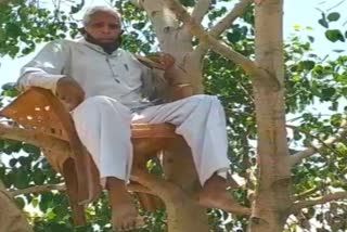 68-yr old man encamps on peepal tree