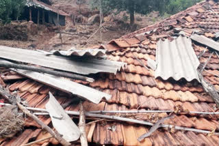 house destroyed due to heavy rain and wind in ratnagiri