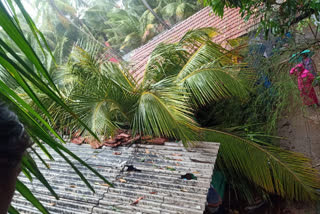 Cyclone Tauktae hits Sindhudurg,