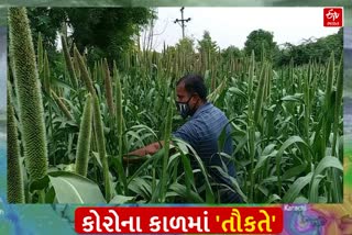 પાટણ જિલ્લામાં તૌકતે વાવાઝોડાની અસરના કારણે જગતાત ચિંતિત