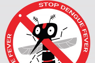 dengue, dengue day, dengue day theme 2021
