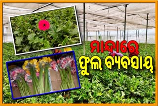 covid19 lockdown Flower business affected in deogarh