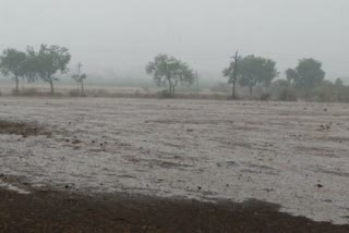 Strong winds and rain Jalgaon