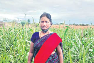 vijayawada women received best farmer award