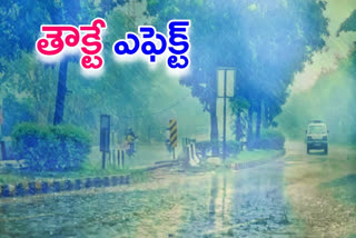 Heavy rains in Telangana