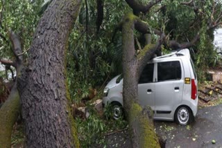 Home damage Goa tauktae cyclone
