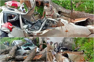 One died in tree fell on running car in kattappana  തൊടുപുഴ സ്വദേശി വെണ്ടാനത്ത് സൂസമ്മ സെബാസ്റ്റ്യനാണ് മരിച്ചത്.  കട്ടപ്പനയില്‍ ഓടിക്കൊണ്ടിരുന്ന കാറിന് മുകളിൽ മരം വീണ് ഒരാൾ മരിച്ചു  രണ്ട്‌ പേർക്ക്‌ പരിക്കേറ്റു.  മൂന്നാർ തേക്കടി സംസ്ഥാന പാതയിൽ പുളിയൻമല അപ്പാപ്പൻപാടിക്ക്‌ സമീപം  Near Puliyanmala Appappanpady on Munnar Thekkady State Highway