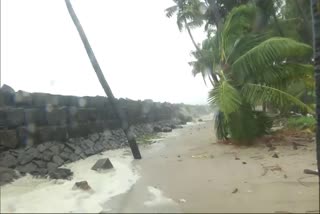 Effect of Cyclone Tauktae in Raigarh