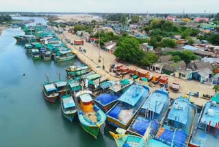 cuddalore-port-fish-import-site-found-deserted