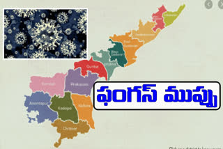 black fungus cases in ap